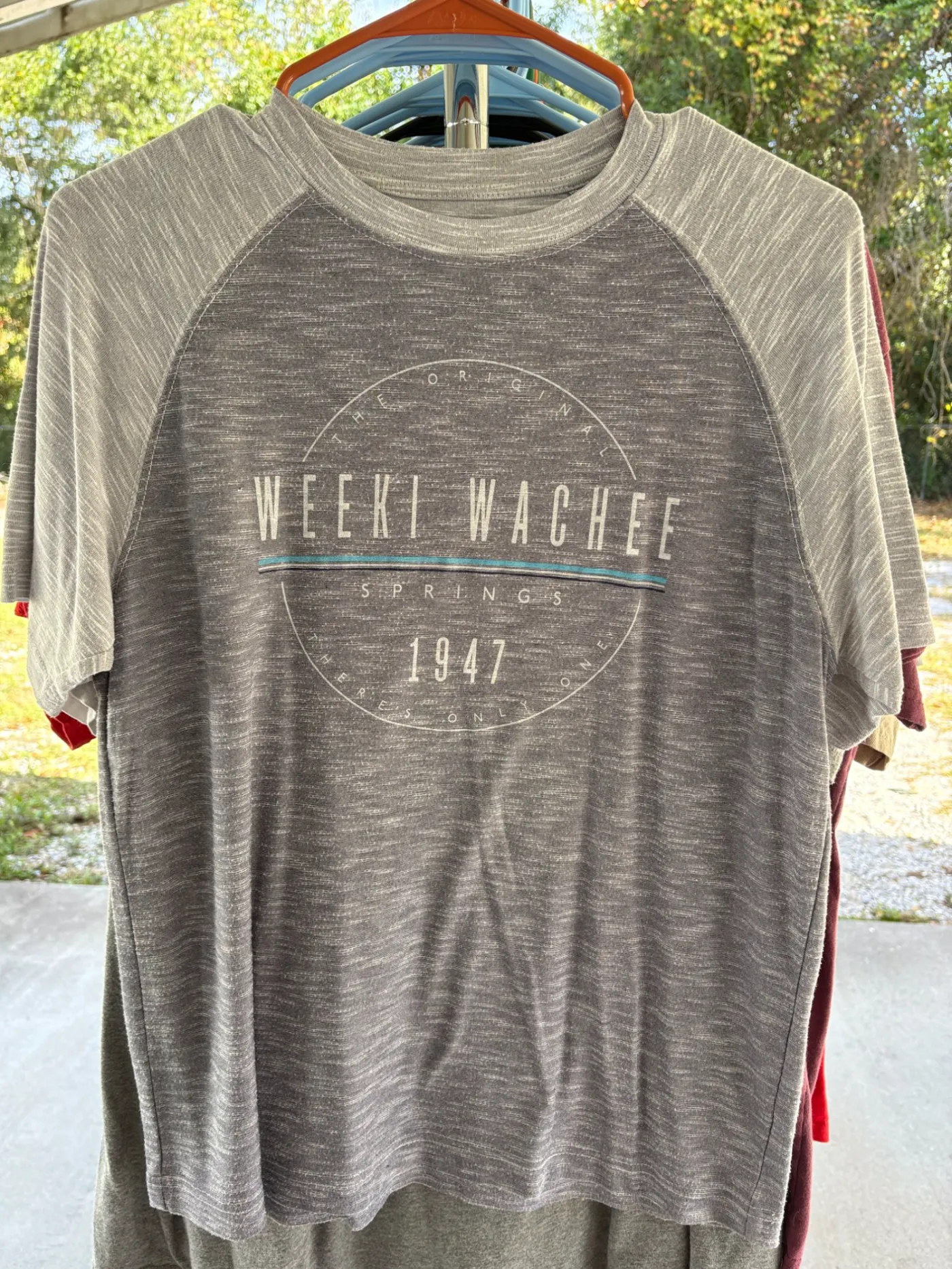Weeki Wachee Springs Tee