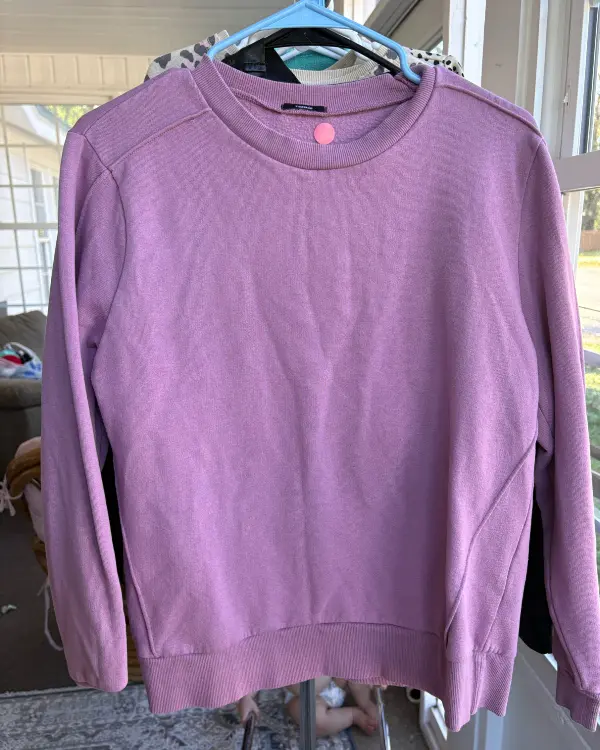Pink Sweatshirt